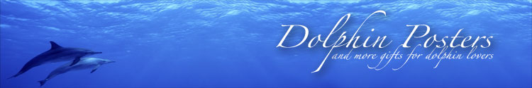 Dolphin Posters